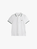 LACOSTE - Men Short Sleeved Regular Fit Stripe Collar Piqué Polo